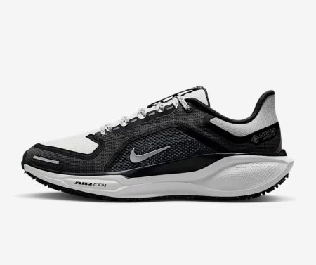 NIKE ZM PEGASUS41 GTX